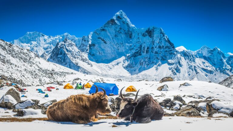 Nepalas