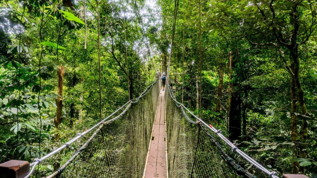 Borneo