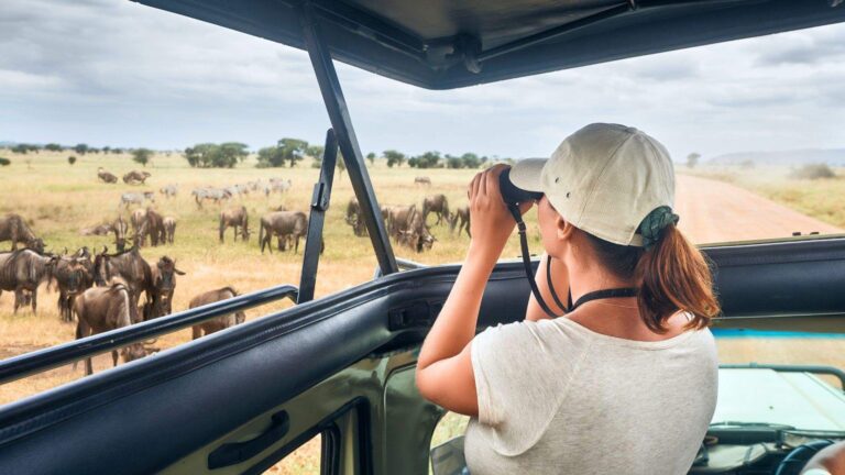 Pažintinė kelionė po Tanzaniją ir poilsis Zanzibare
