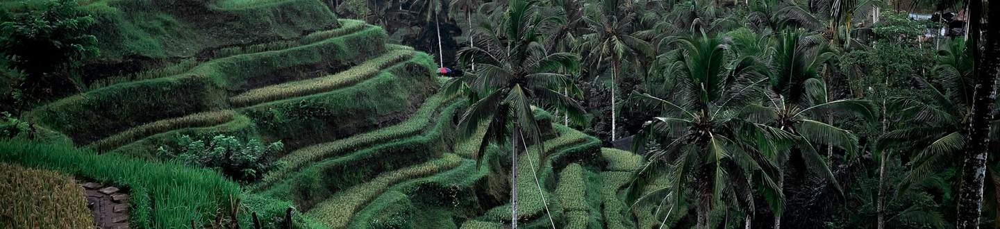 Ubudas hero