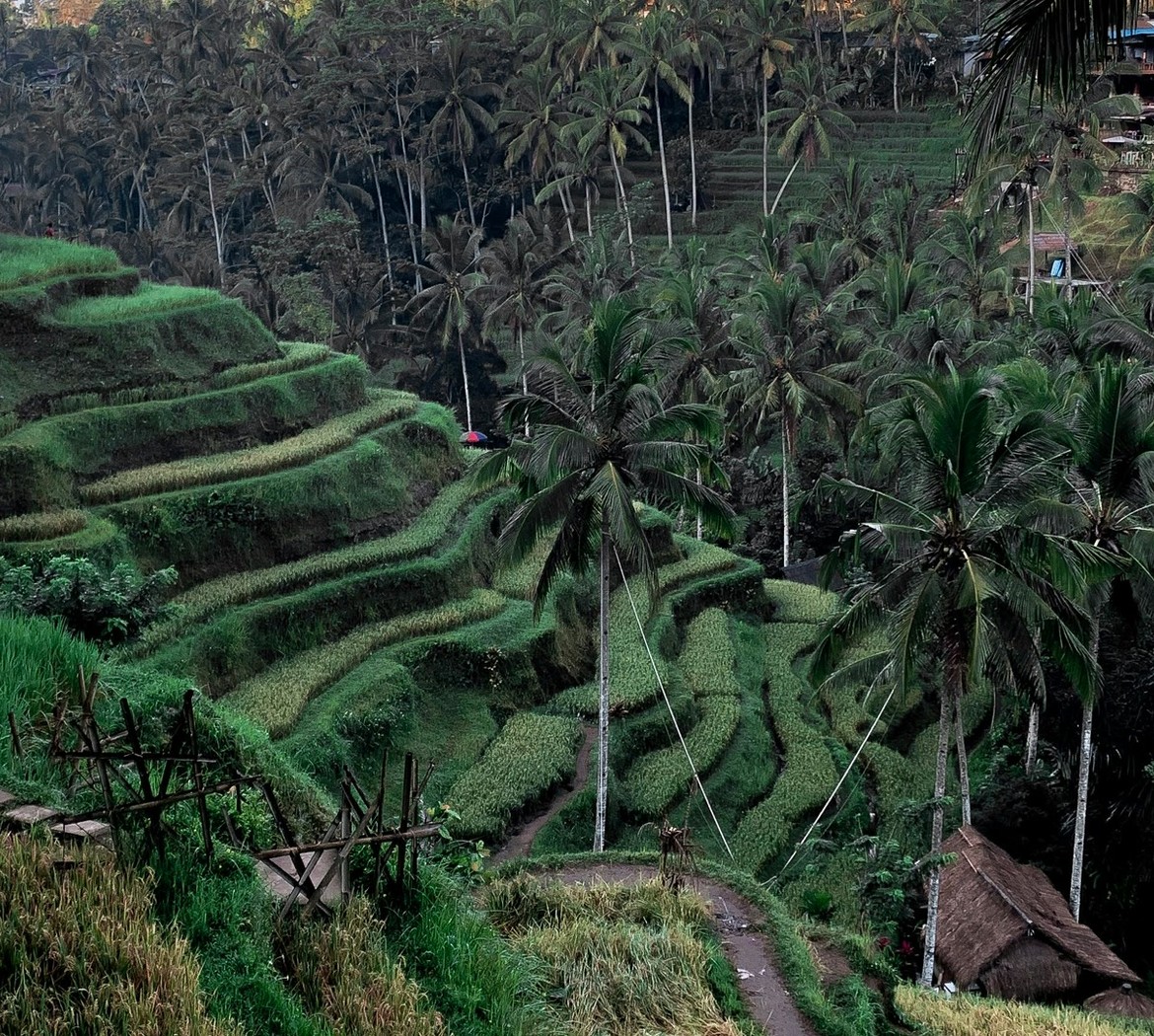 Ubudas hero