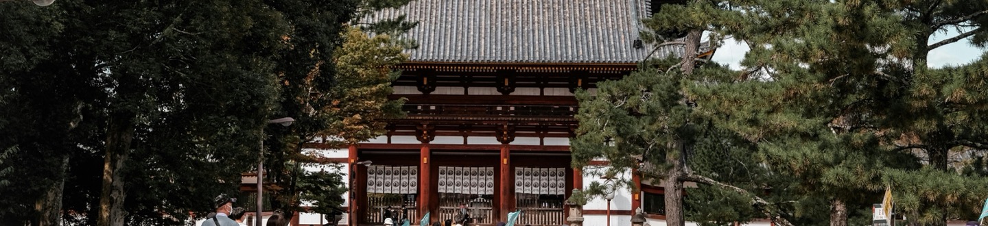 Nara hero