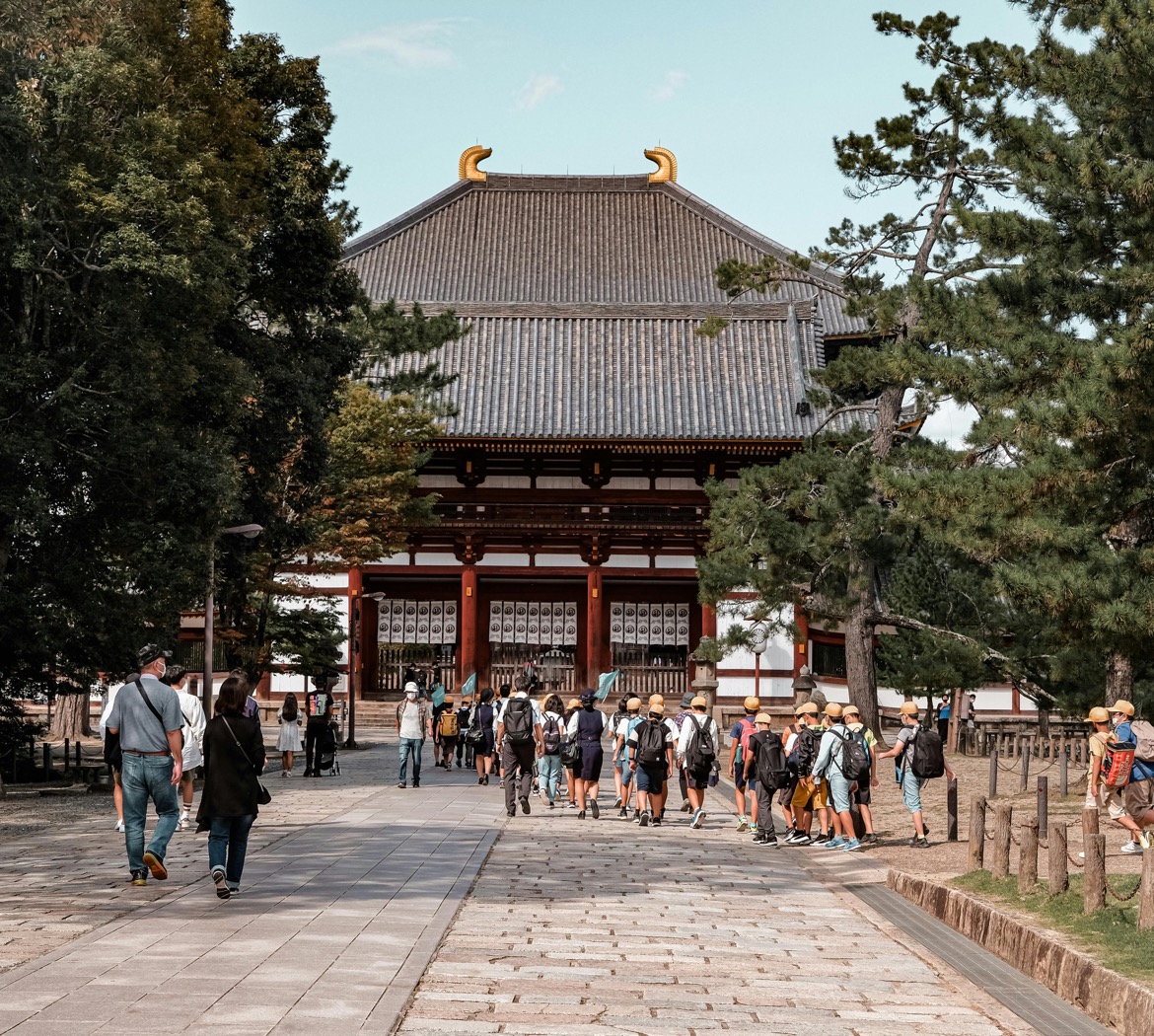 Nara hero
