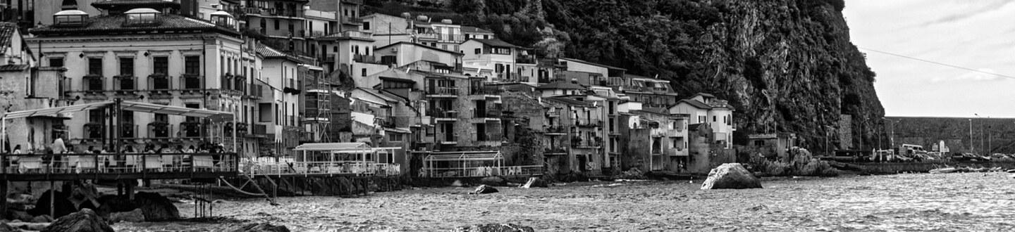 Scilla hero