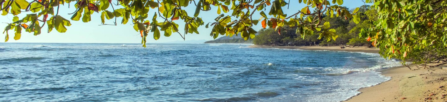 Manuel Antonio hero