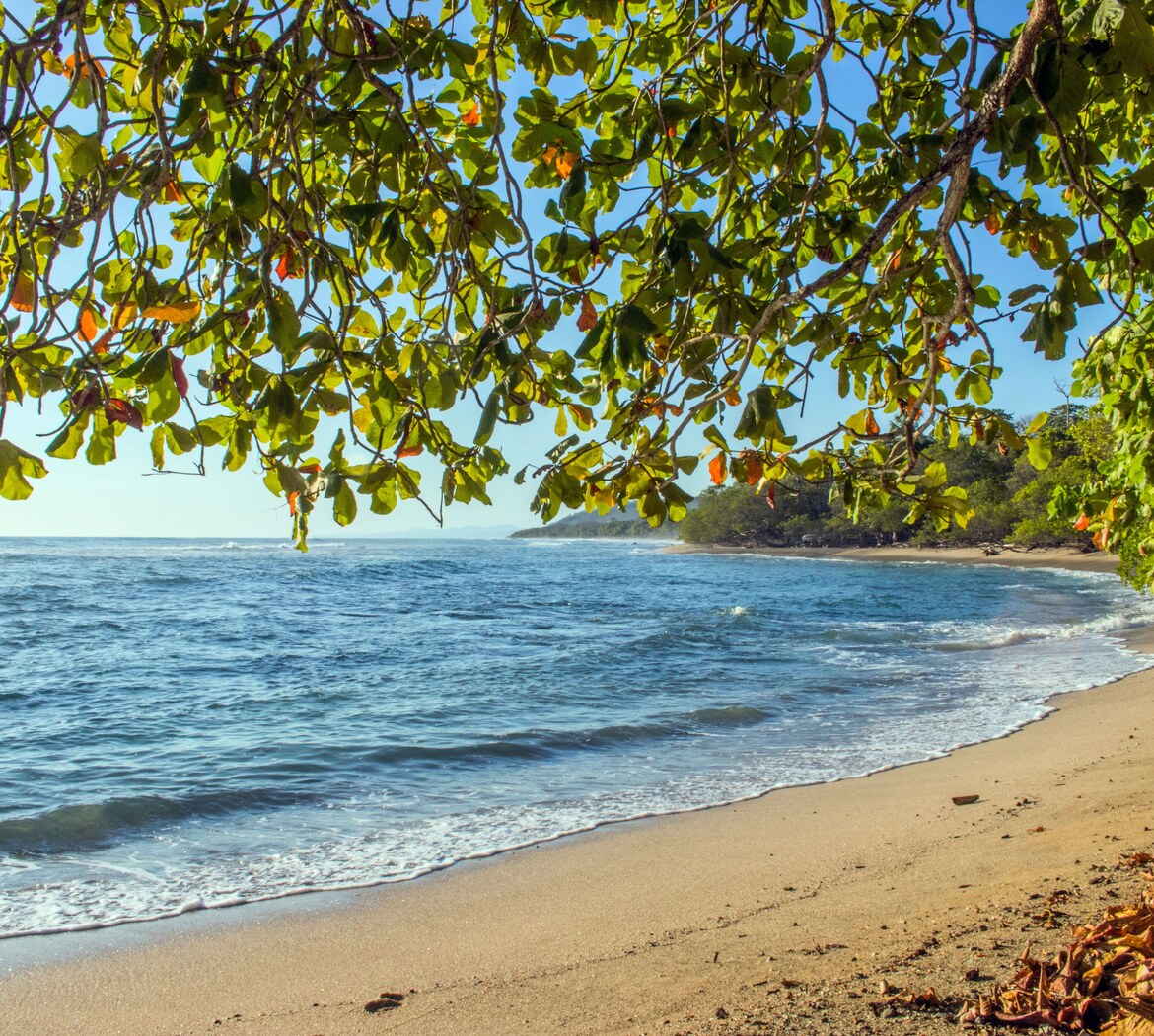 Manuel Antonio hero