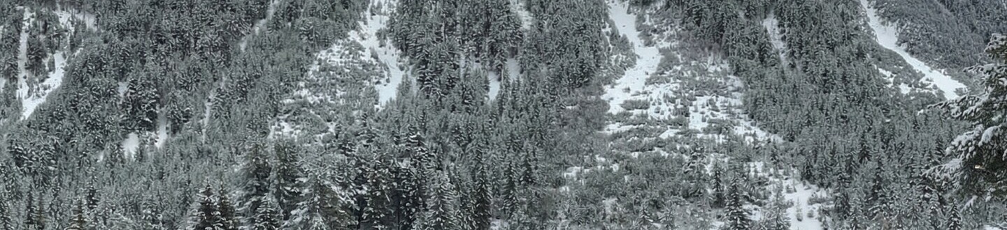 Bulgarijoje - Bansko