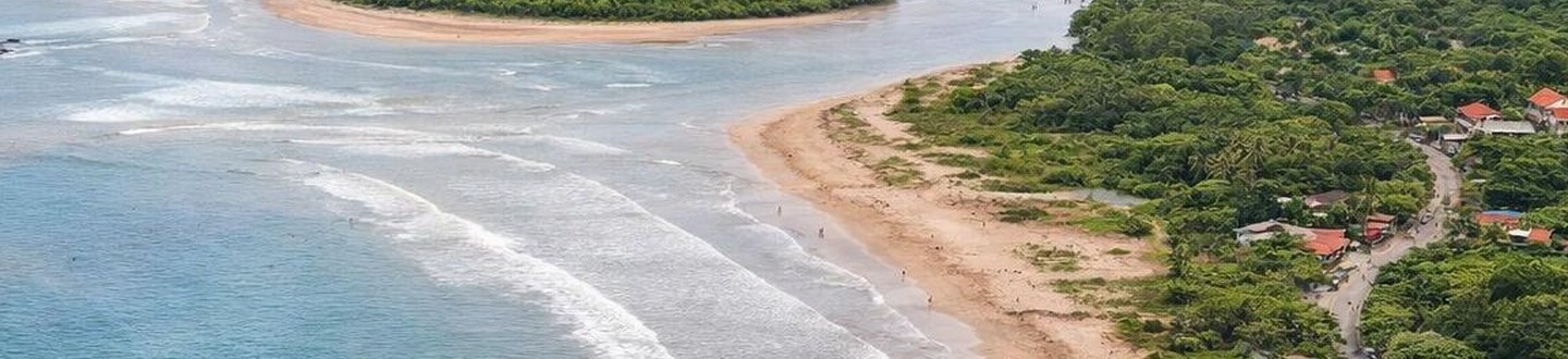 Tamarindo