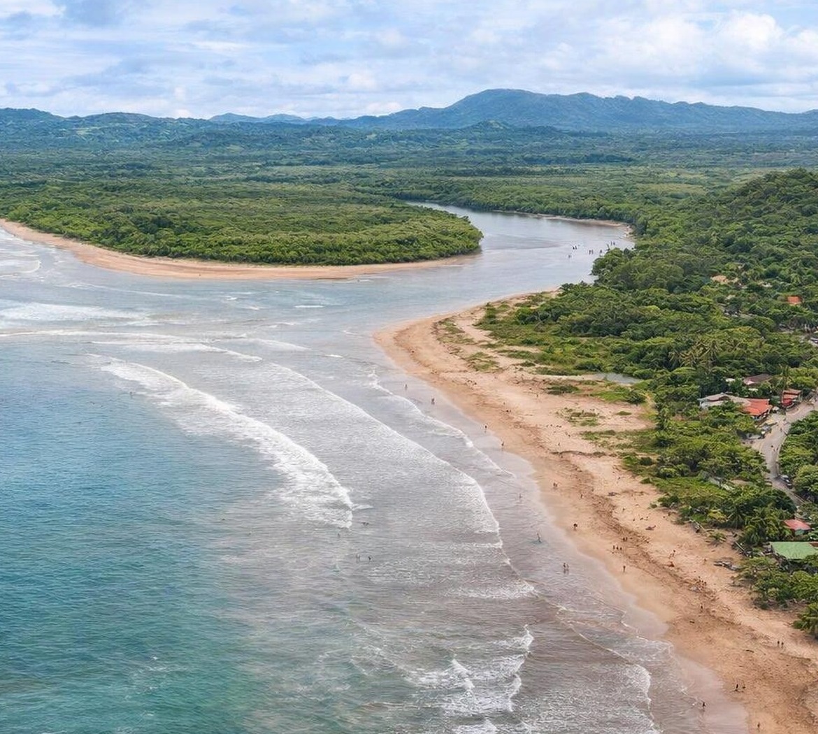 Tamarindo